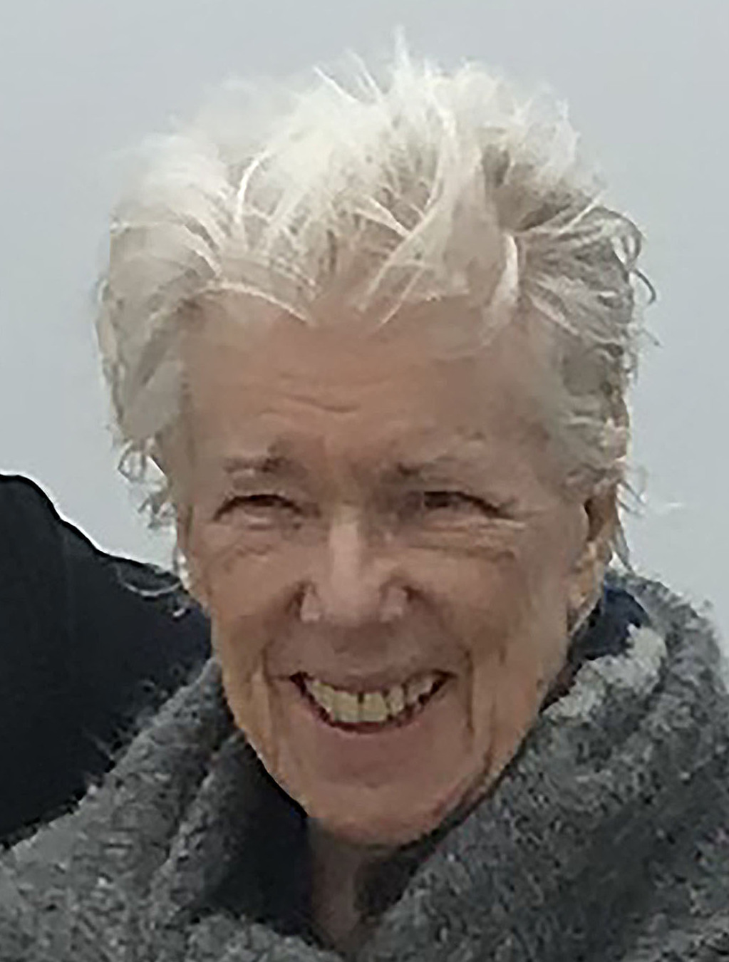 Ann M. Hiden